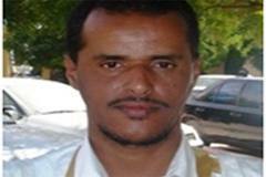 الشاعر والأديب محمذن ولد الرباني